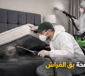 مكافحة البق