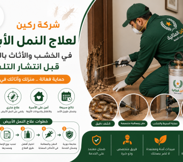 علاج النمل الأبيض في الخشب