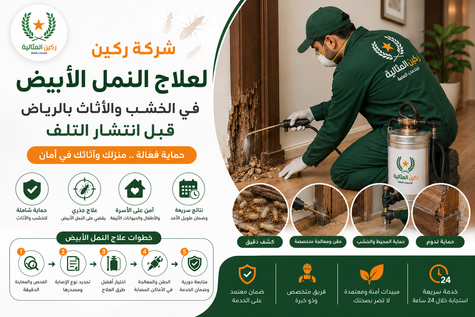 علاج النمل الأبيض في الخشب